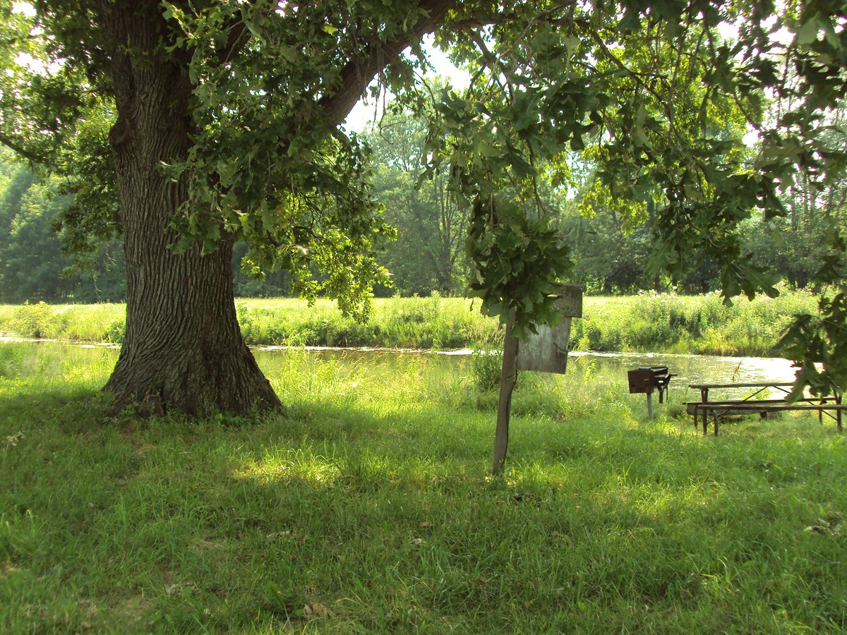 Property photo 44 - 160 Acres Offered in 6 Tracts